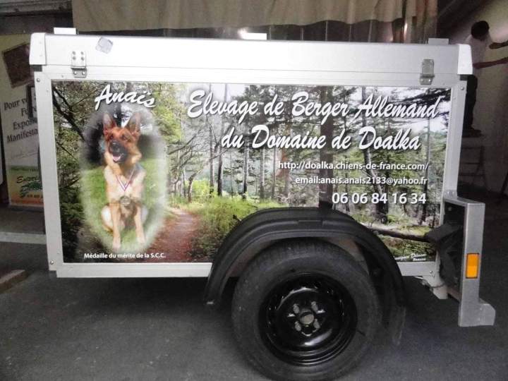 Décor adhésif covering sur remorque Bourgogne