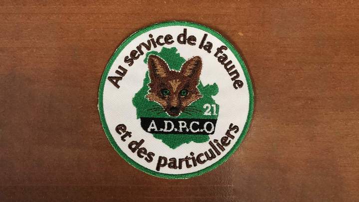 Ecusson à coudre en broderie