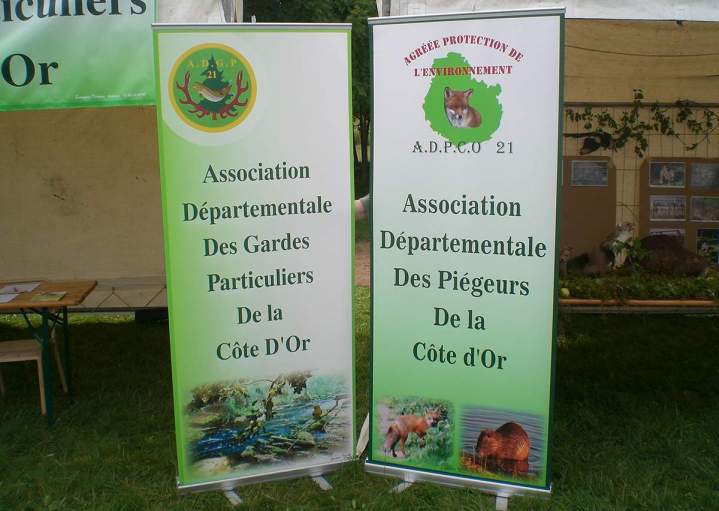 Rollups avec décor impression numérique